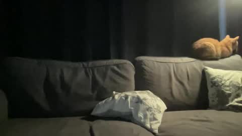 BlIdoL online show from 11.24.25