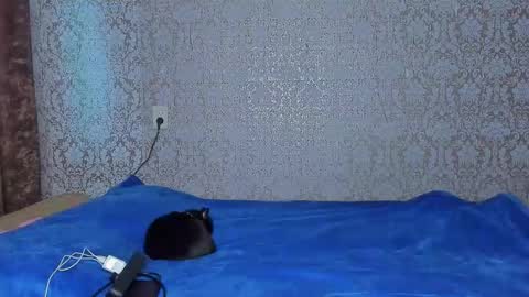 bloemetjes online show from 10.24.25