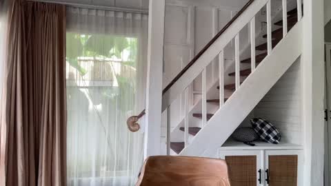 Snapshot of bloomyogi chatting on 01.14.26 Emma Bloom online show from 01.14.26