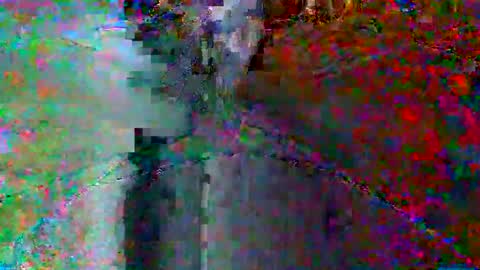 bluegum00 online show from 06.08.26