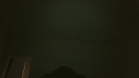 bluemoose70 online show from 02.27.26