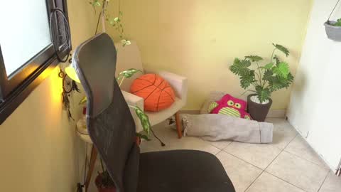 FLORAA online show from 01.11.25