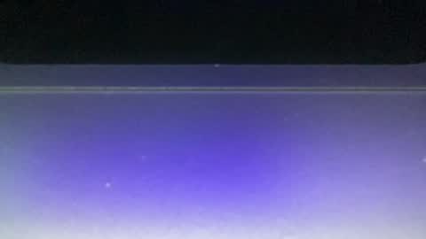 bluuuuuuub online show from 12.29.24