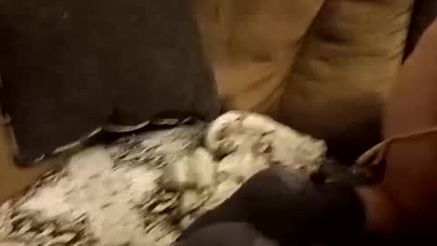 Assdrtyasuwant online show from 09.28.25