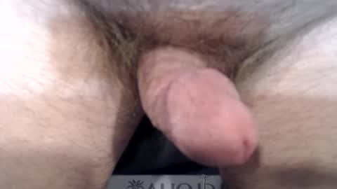 Snapshot of bobswan chatting on 12.22.24 bobswan online show from 12.22.24