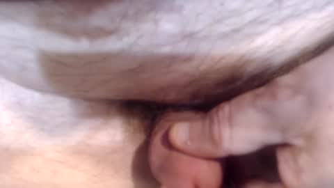 Snapshot of bobswan chatting on 12.26.24 bobswan online show from 12.26.24