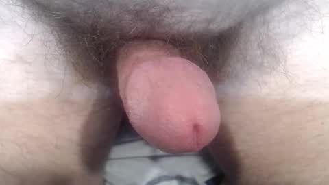 Snapshot of bobswan chatting on 10.24.25 bobswan online show from 10.24.25