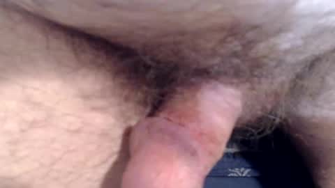 Snapshot of bobswan chatting on 03.08.26 bobswan online show from 03.08.26