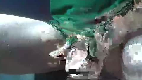 bogey58 online show from 12.08.24