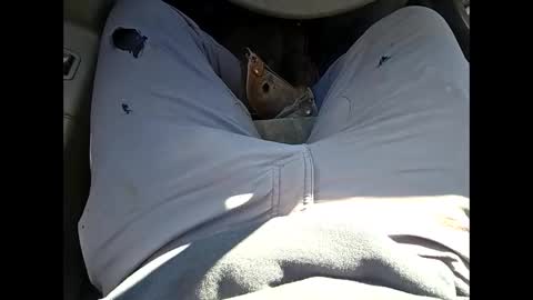 Snapshot of bombinshaman chatting on 01.12.26 bombinshaman online show from 01.12.26