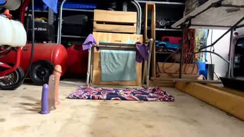 Snapshot of bone2play chatting on 02.18.25 FRECKLES online show from 02.18.25