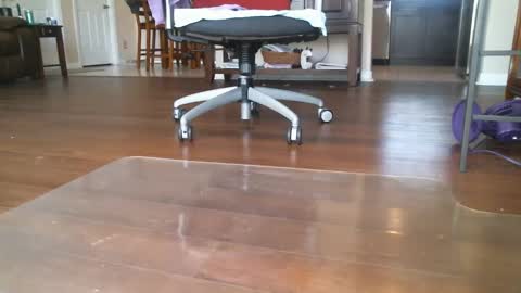 Snapshot of bone2play chatting on 03.06.25 FRECKLES online show from 03.06.25