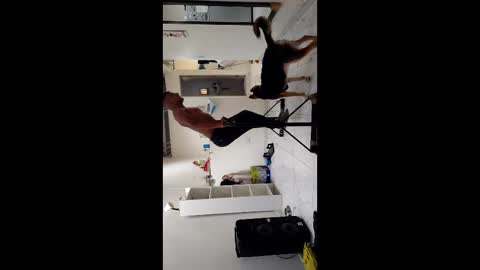 Snapshot of boner_steve chatting on 11.03.25 Boner Steve online show from 11.03.25