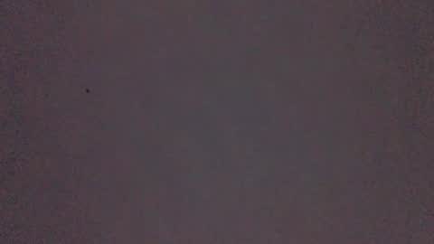 Snapshot of bonershow chatting on 11.21.25 bonershow online show from 11.21.25