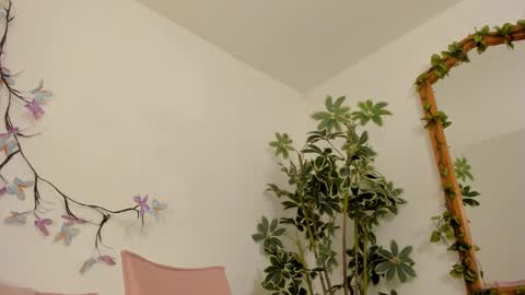   online show from 11.27.25