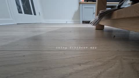 bonny8723 online show from 01.13.26