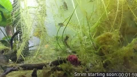 Booker Baxton online show from 12.05.24