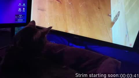 Booker Baxton online show from 09.20.25