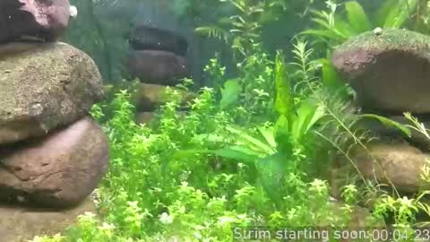 Booker Baxton online show from 10.19.25