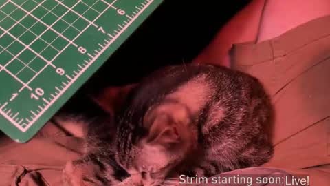 Booker Baxton online show from 12.20.25