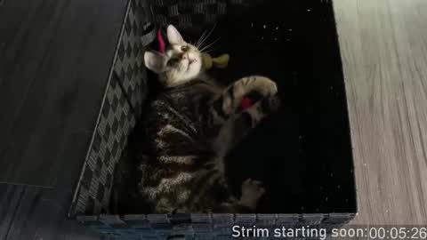 Booker Baxton online show from 01.07.26