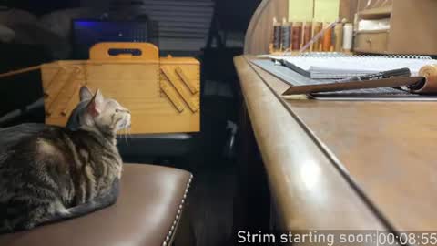 Snapshot of booker_baxton chatting on 07.17.26 Booker Baxton online show from 07.17.26