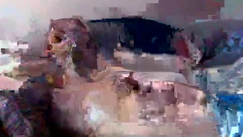 Snapshot of boomer64814390 chatting on 07.12.26 boomer64814390 online show from 07.12.26