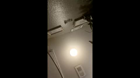 boredaf6678 online show from 03.21.26