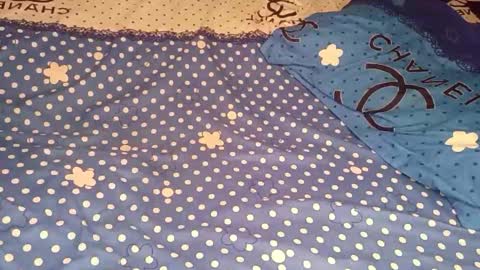 Snapshot of bossetassy chatting on 12.16.25 bossetassy online show from 12.16.25