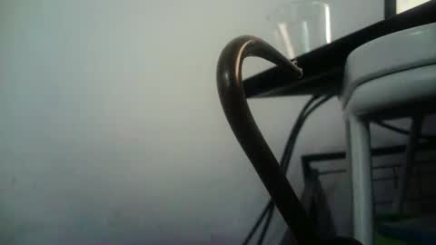 BottoMMlad online show from 01.09.25