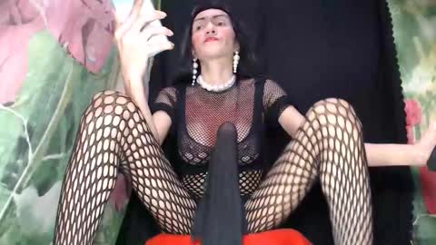 Snapshot of boucinghugehardcock chatting on 10.02.25 A M A N D A  MONSTERCOCK online show from 10.02.25