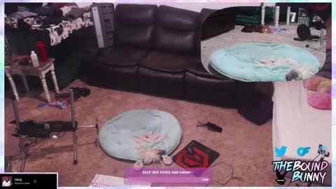 TheBoundBunny online show from 03.07.26