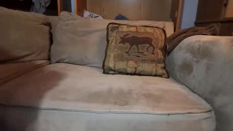 Snapshot of boypussysowet chatting on 02.09.26 smoothslutfordaddy online show from 02.09.26