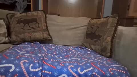 Snapshot of boypussysowet chatting on 02.12.26 smoothslutfordaddy online show from 02.12.26