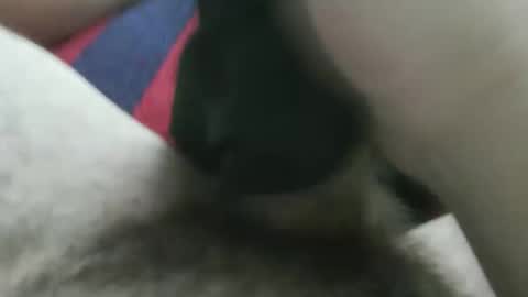 Snapshot of bpllpd chatting on 12.23.25 bpllpd online show from 12.23.25