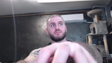 Snapshot of brad_pittfall chatting on 11.01.25 ask me online show from 11.01.25