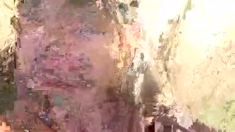 Snapshot of brandon_white_3 chatting on 01.14.25 Brandon online show from 01.14.25