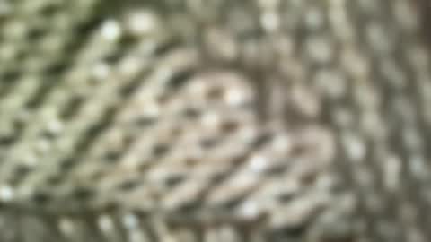 Snapshot of brandonconrad chatting on 02.07.26 brandonconrad online show from 02.07.26