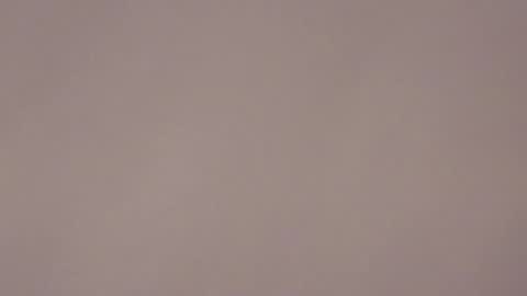 Brandy online show from 01.17.26