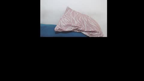 Snapshot of brant_garcia chatting on 01.17.26 Brant Garcia online show from 01.17.26