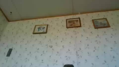 Bay online show from 10.20.25