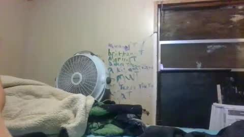 Bay online show from 11.30.25