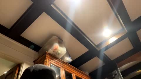 bravo323 online show from 10.02.25