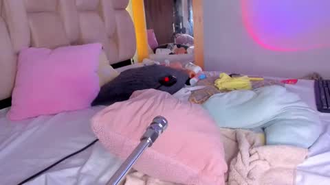 Branda online show from 02.23.25