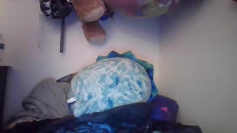 MeganDLoves online show from 02.11.25