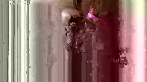 Snapshot of brewfan65 chatting on 10.24.25 brewfan65 online show from 10.24.25