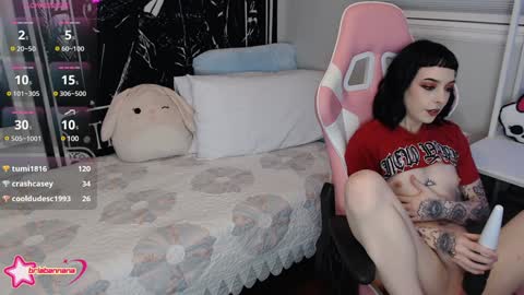 Snapshot of briabannana chatting on 12.30.24 Brianna online show from 12.30.24