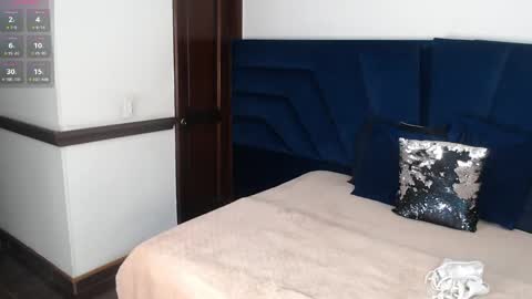 Snapshot of brigith24 chatting on 11.16.25 Brigith online show from 11.16.25