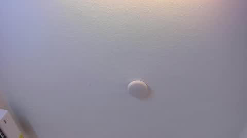 Brittany  online show from 03.08.26