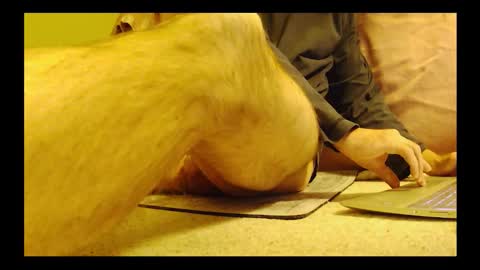 Snapshot of brode3 chatting on 01.06.26 brode3 online show from 01.06.26